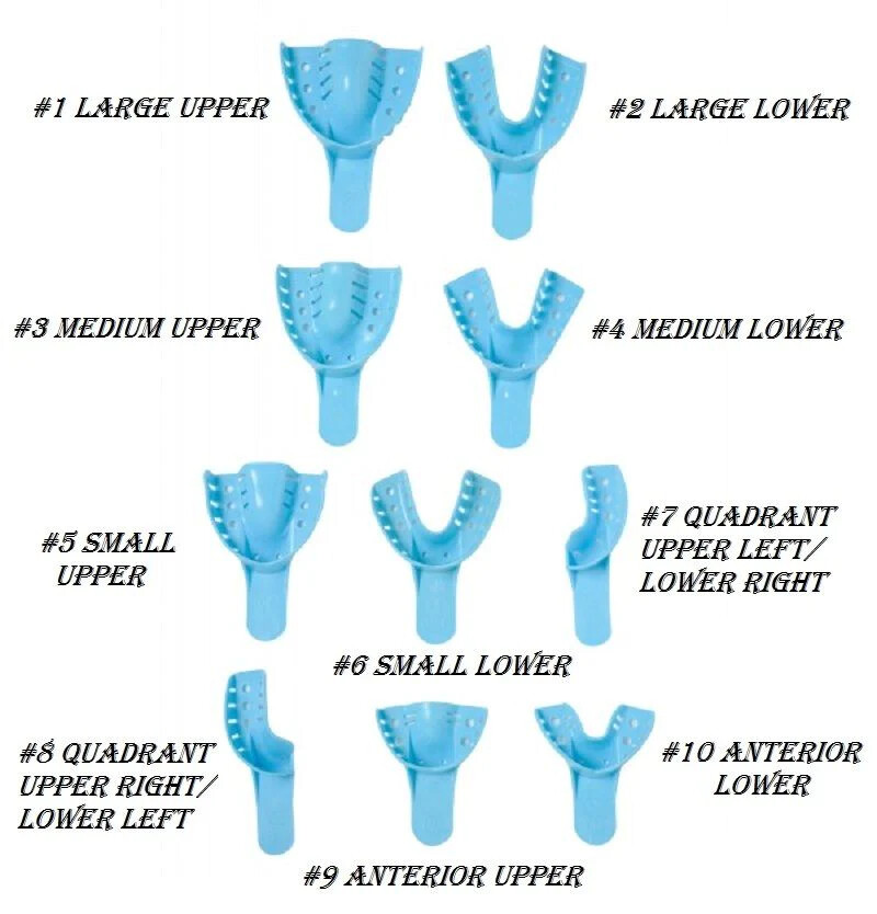 SafeDent-Dental Impression Trays Perforated Plastic Disposable(CHOOSE SIZE)12pcs
