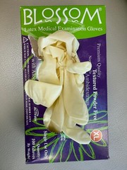 Blossom Textured Powder Free Latex Medical Exam Gloves Aloe XL 1,000 Pcs/Case