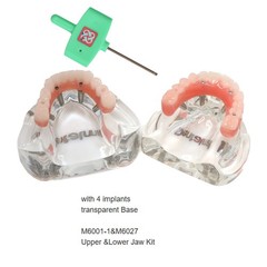 All-On-4 Dental Implant System Overdenture Treatment Teeth Model U/L Jaw W/screw