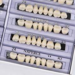 168X Acrylic Resin A1/A2/A3 Dental Denture Teeth Upper Lower Shade 22/23/24# HOT