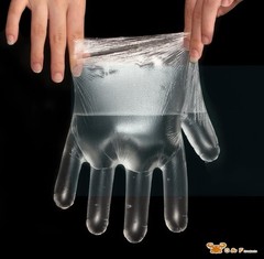 Plastic Food Service Gloves Ideal for Food Handling, Food Prep, Cleaning, Latex
