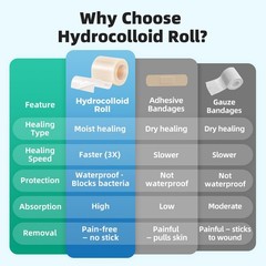 Hydrocolloid Roll Bandages, 2IN x 5FT Extra Large 2in × 5ft, Translucent