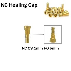 NC Dental Closure Screw NC Healing Cap Abutment Height 0/0.5mm Fit Straumann ITI
