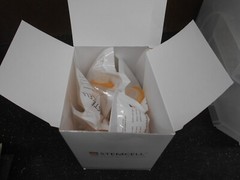 Stemcell Technologies 27260 70um Large Reversible Strainer Box of 19