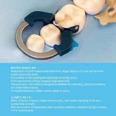 Dental Matrix Bands Ring Sectional Matrix System Clamp Plastic Tulwar Wedges Set