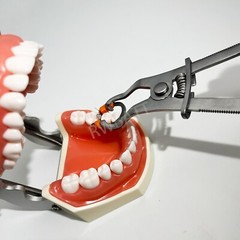 Dental Matrix Bands Ring Sectional Matrice Clamp Fit Garrison Palodent V3 System