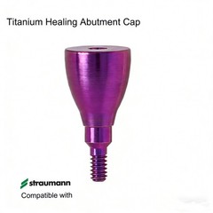 US Straumann Implant Healing abutment Closure Screw cap fit NC/RC ITI B0ne Level