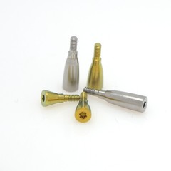 US Straumann ITI Bone Level Healing Abutment & Closure Screw Cap CrossFit BL/BLT