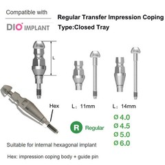 Dental DIO UFII Regular Straight Healing Abutment Impression Coping Zest locator