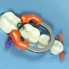 Dental Matrix Bands Ring Sectional Matrice Clamp Wedges Fit Palodent V3 System