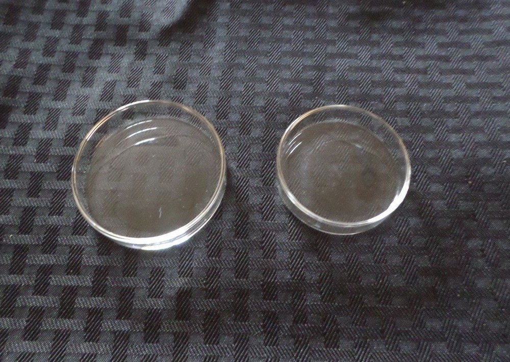 Unbranded Lab Glass Petri Dish Approx 60 x 13 and 76 x 13, 23064-6015