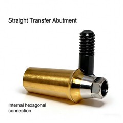 US Dental Ti Standard Straight Abutment W/Replica Screw fit Hiossen ET Regular