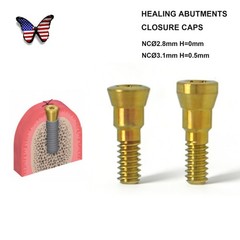 US Straumann ITI Bone Level Healing Abutment & Closure Screw Cap CrossFit BL/BLT