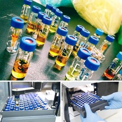 1000Pcs 2ml Autosampler Vial Glass Sample vials Lab Vial HPLC GC w/ Screw Caps