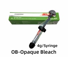 Dental KULZER CHARISMA Composite Resin Diamond Bleach White Light Cure BL BXL OB