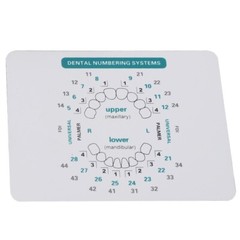 Tooth Veneer Mold Composite Resin Veneer Aesthetic Mould Light Cure Anterior