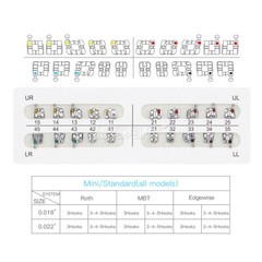 US AZDENT Dental Orthodontic Brackets Braces/Super Elastic Niti Arch Wire Ovoid