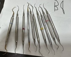 Patterson, Prudent, American Eagle, Goldman Sickle Scalers 10ct