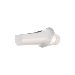 5pcs DSl Angulated Abutments Anatomic Peek With Screws 15° Internal Hex