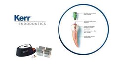 SYBRON KERR Soft-Core Obturators All sizes 20,25,30,35,40 (6 pc per Pk)
