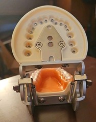 Dental Typodont Teeth Model Practice with Removable Teeth Unbranded