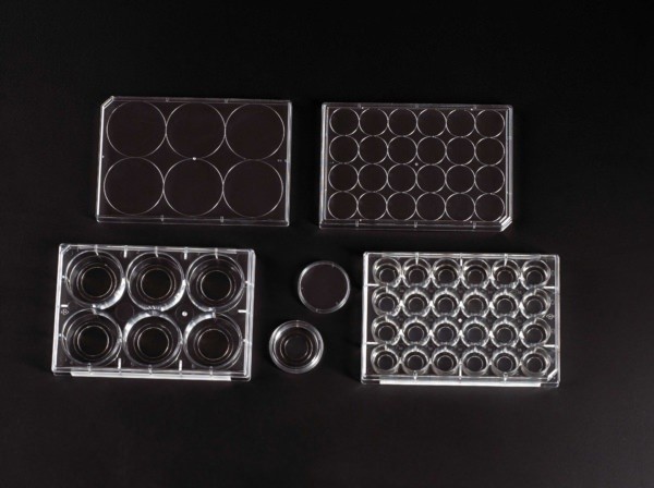 229107BE-20mm Glass Bottom TC- Plate w/ Lid, 6 Wells, Individual, Sterile-EXP