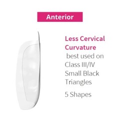 BioClear Anterior Kit Modern Matrix System for Esthetic Restorations Fast Ship