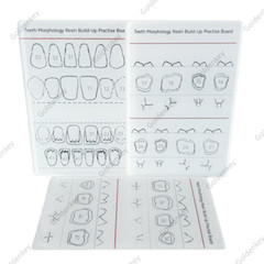 6Pc Dental Composite Resin Filling Model Dentist Build Up Teeth Morphology Board
