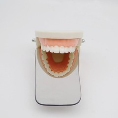 Lightweight Dental Photography Mirror – Autoclavable with True Color Display