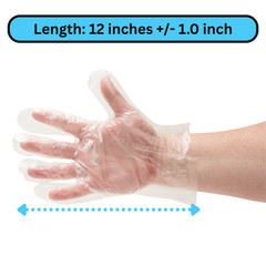 400000 Pieces Poly HDPE Food Handling Service Gloves Latex Vinyl Free Large