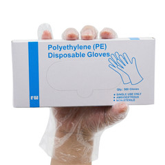 400000 Pieces Poly HDPE Food Handling Service Gloves Latex Vinyl Free Large