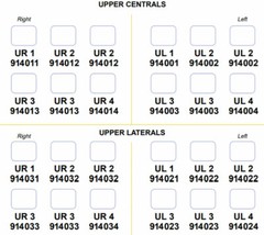 3M Pediatric Strip Crown Forms Pedodontic 5 per Box – multiple sizes available