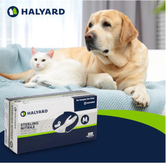 2 Boxes of 170, Halyard Sterling Nitrile Powder Free Exam Gloves, Extra Large.