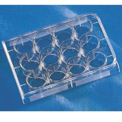 Corning Costar 12-well Clear TC-treated Multiple Well Plates, Sterile (Case 100)