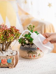 Tattoo Wash Bottle Squeeze 3Pcs 250ml Squirt Bottle Succulent 3*250ml White