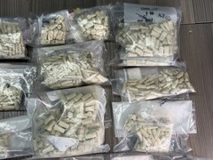Large Lot of 4,300 + Genuine Columbia T-860 Typodont Ivorine Teeth Dentoform