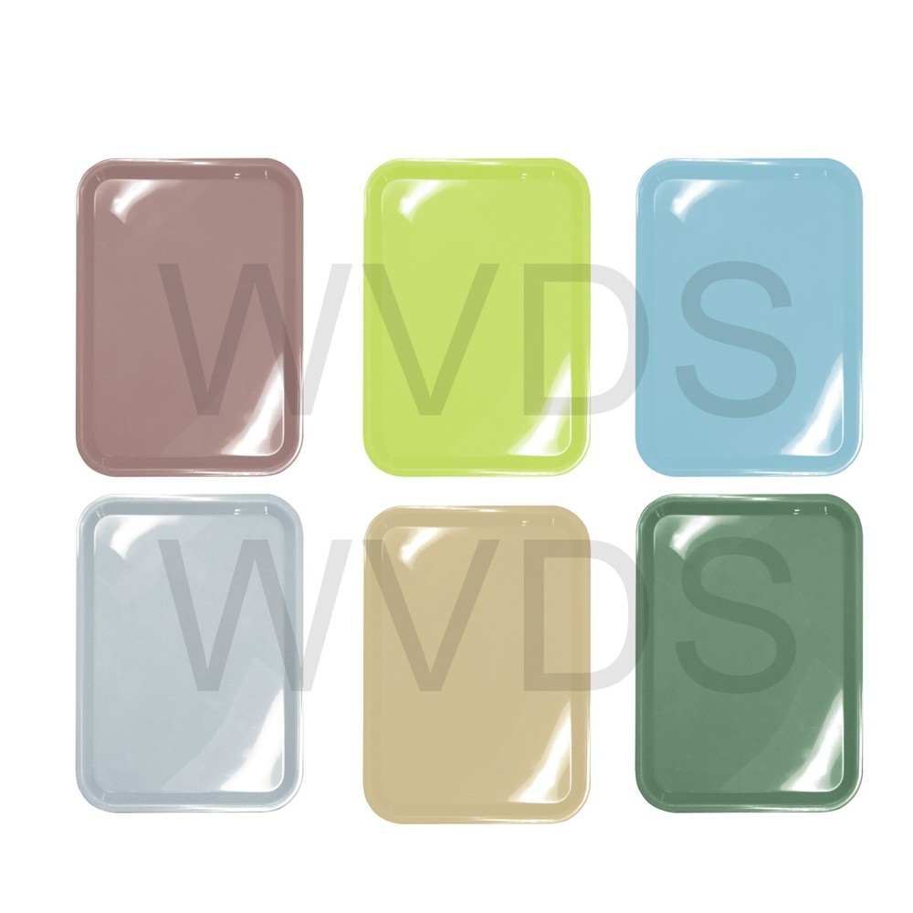 6x Dental Tray Autoclavable Plastic Instrument Flat Trays Size B All colors