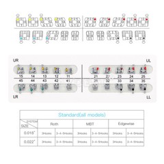 10X Dental Orthodontics Metal Bracket Braces Standard MBT Slot022 Hooks 345