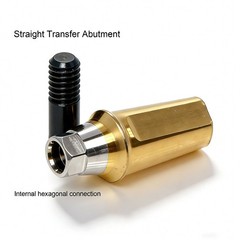 US Dental Ti Standard Straight Abutment W/Replica Screw fit Hiossen ET Regular