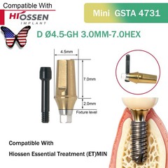 US Dental Straight Abutment Hiossen ET Osstem TS Ti Mini Regular Platform Hex
