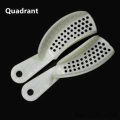Dental Impression Trays Perforated Plastic Disposable (CHOOSE SIZE)(1 Bag of 10)