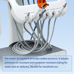 Dental 3 Way Air Water Spray Triple Syringe Handpiece+ 2* Nozzles Tips Tubes A/W