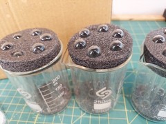 Basic Lab Glassware Expand Set New Beakers and Test Tubes