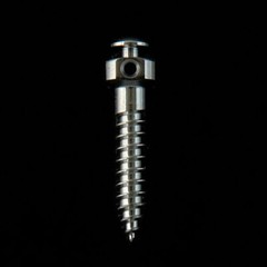 Dental Orthodontic Micro Implants Mini Screw Self-Drilling Fuchsia Screwdriver