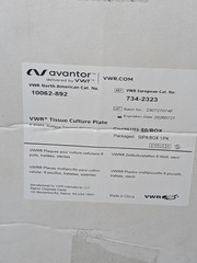 VWR Avantor 10062-892 Culture Plate 6-Well Sterile Ex 07.2026 (42 Remaining)