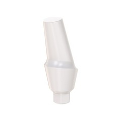 1pcs DSl Angulated Abutment Anatomic Peek With Screw 15° Internal Hex