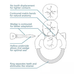Dental Matrix Bands Ring Sectional Matrice Clamp Fit Palodent V3 Garrison
