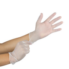 Karat Vinyl Powder-Free Gloves (Clear) – X-Large – 1,000 ct, FP-GV1009