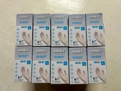 1000 (10 Boxes) AMMEX L Large Clinical Professional Vinyl Exam Gloves Protection