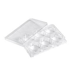 6-Well Polystyrene Cell Culture Plates with Lids, Individual Wrapped Plates, Ste